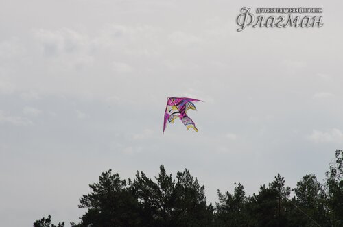 IMGP1254_r